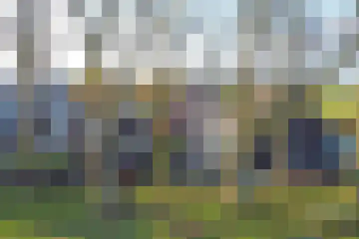 Bazeldijk 58 Hoogblokland thumbnail 88