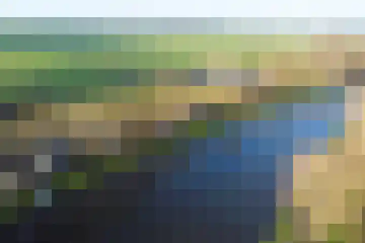 Bazeldijk 58 Hoogblokland thumbnail 90