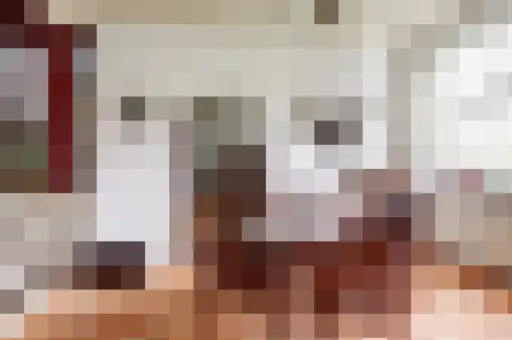 Bazeldijk 67 Hoogblokland thumbnail 18