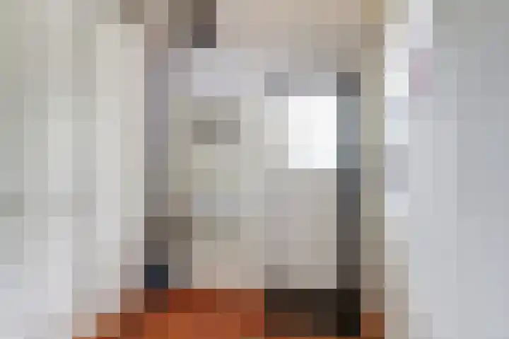 Bazeldijk 67 Hoogblokland thumbnail 30