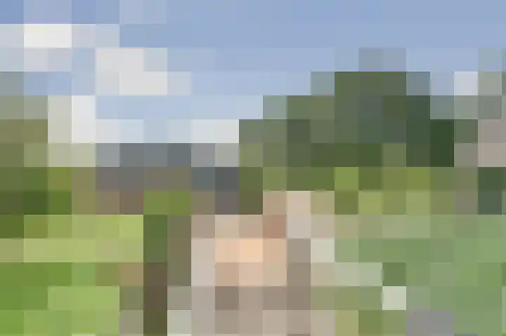 Bazeldijk 67 Hoogblokland thumbnail 31