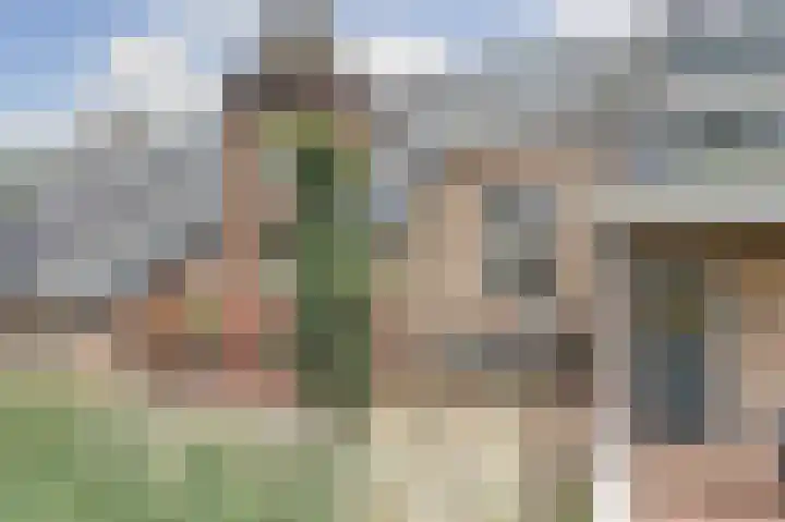 Bazeldijk 67 Hoogblokland thumbnail 32