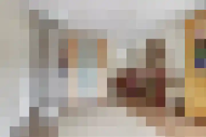 Bazeldijk 67 Hoogblokland thumbnail 33