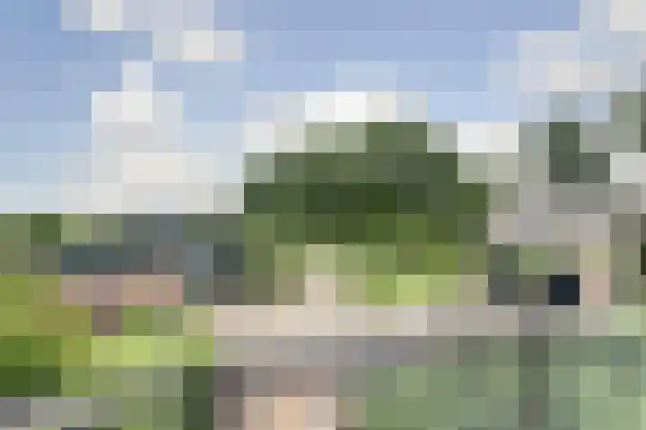 Bazeldijk 67 Hoogblokland thumbnail 36