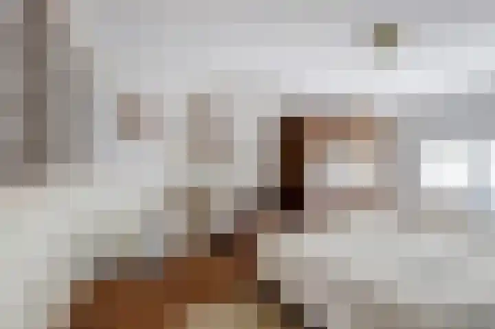 Bazeldijk 67 Hoogblokland thumbnail 39