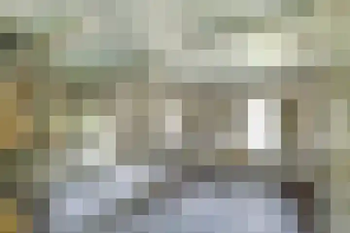 Bazeldijk 67 Hoogblokland thumbnail 57