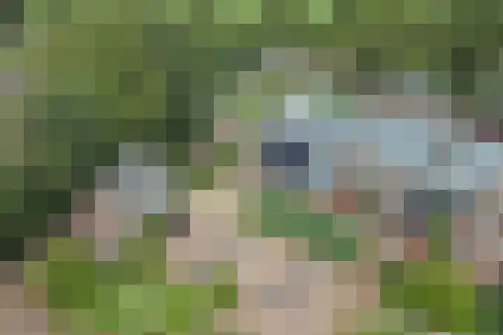Bazeldijk 67 Hoogblokland thumbnail 6