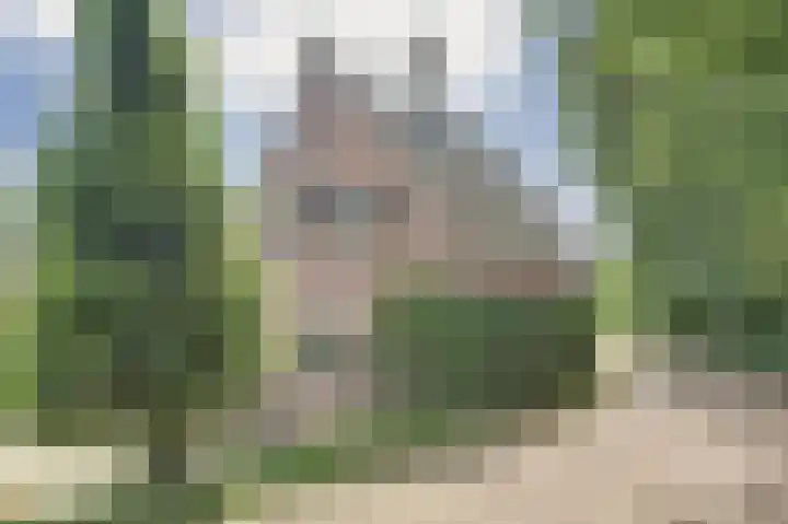 Bazeldijk 67 Hoogblokland thumbnail 60
