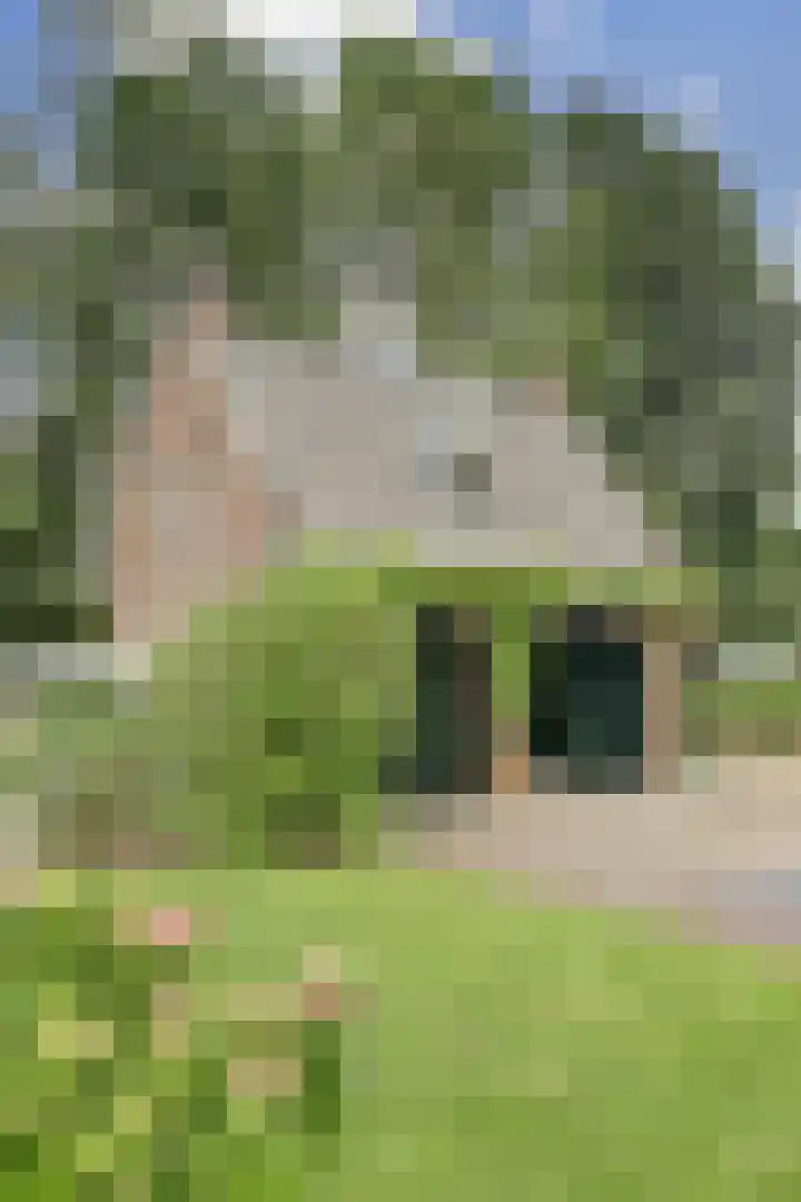 Bazeldijk 67 Hoogblokland thumbnail 62