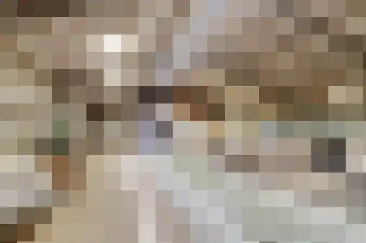 Bazeldijk 67 Hoogblokland thumbnail 69