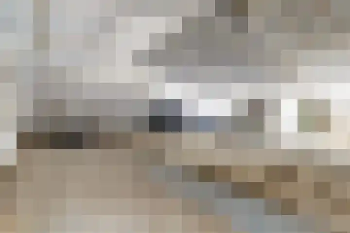 Bazeldijk 67 Hoogblokland thumbnail 71