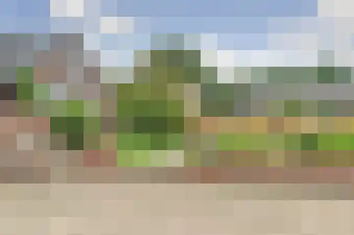Bazeldijk 67 Hoogblokland thumbnail 74