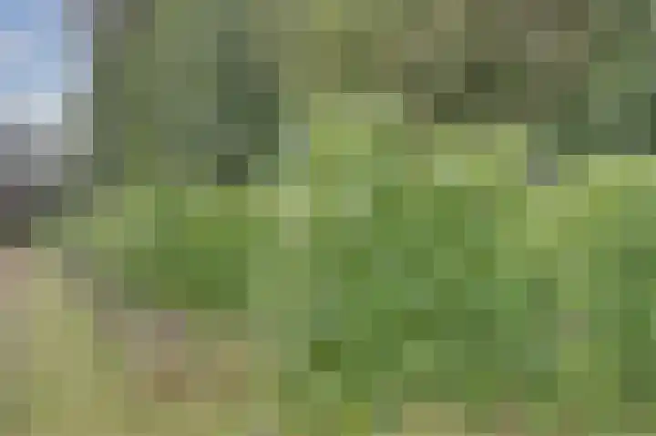 Bazeldijk 67 Hoogblokland thumbnail 77