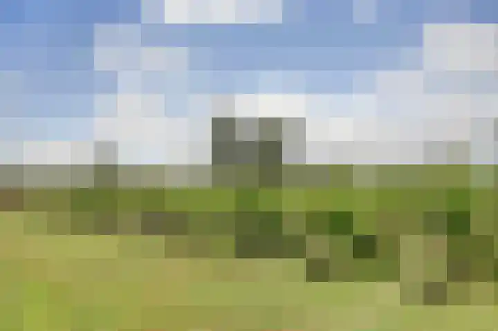 Bazeldijk 67 Hoogblokland thumbnail 78