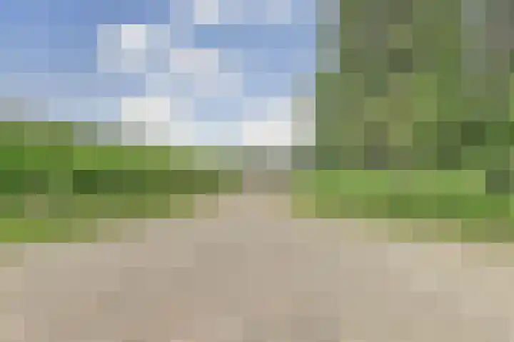 Bazeldijk 67 Hoogblokland thumbnail 79