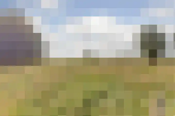 Bazeldijk 67 Hoogblokland thumbnail 80