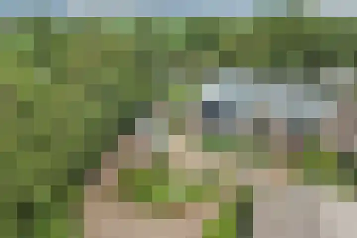Bazeldijk 67 Hoogblokland thumbnail 82