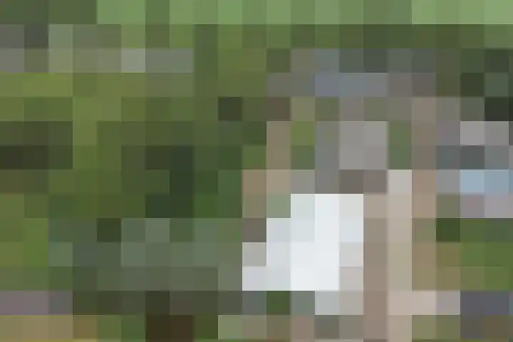 Bazeldijk 67 Hoogblokland thumbnail 83
