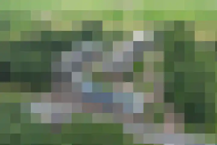 Bazeldijk 67 Hoogblokland thumbnail 84
