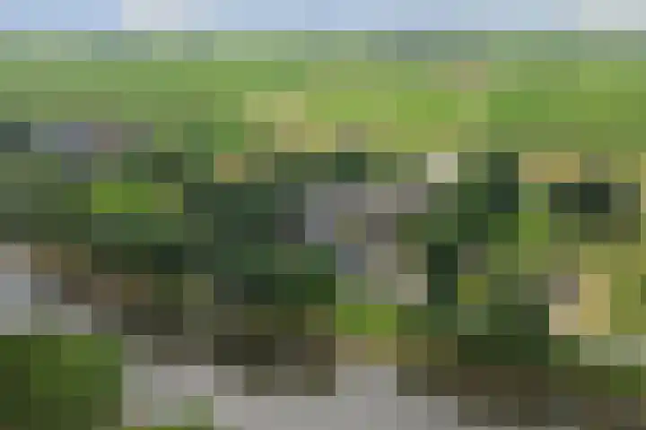 Bazeldijk 67 Hoogblokland thumbnail 86