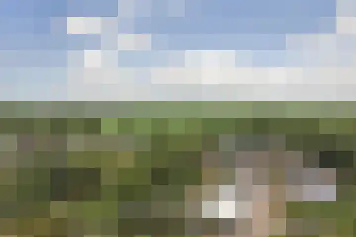 Bazeldijk 67 Hoogblokland thumbnail 87