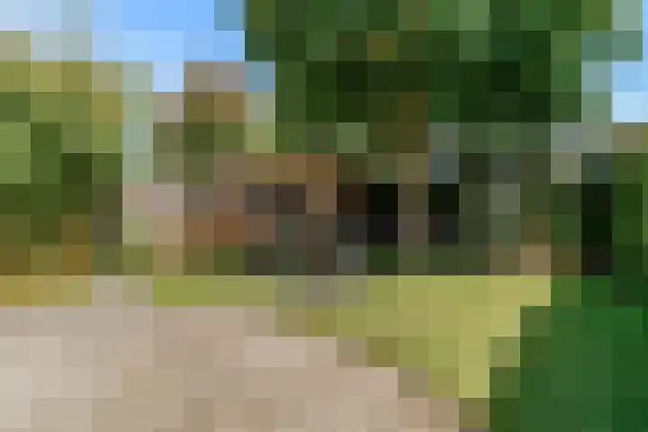 Bazillehof 109 Hoorn thumbnail 26