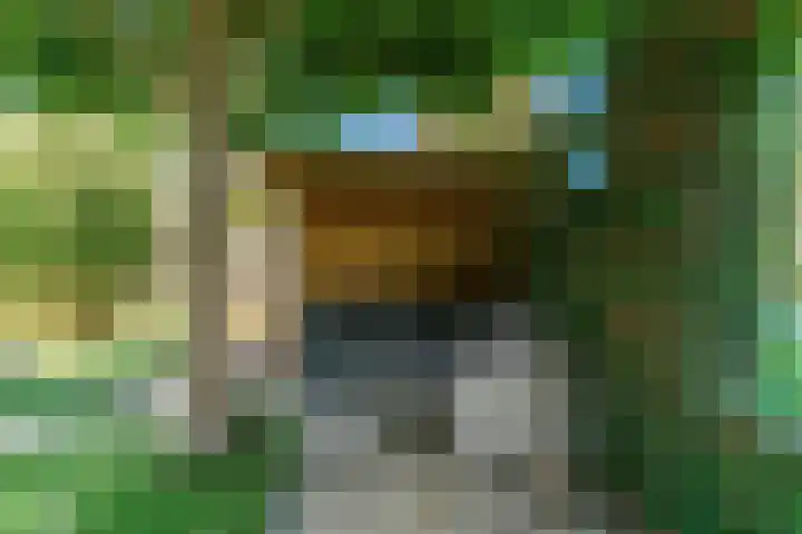 Bazillehof 109 Hoorn thumbnail 28