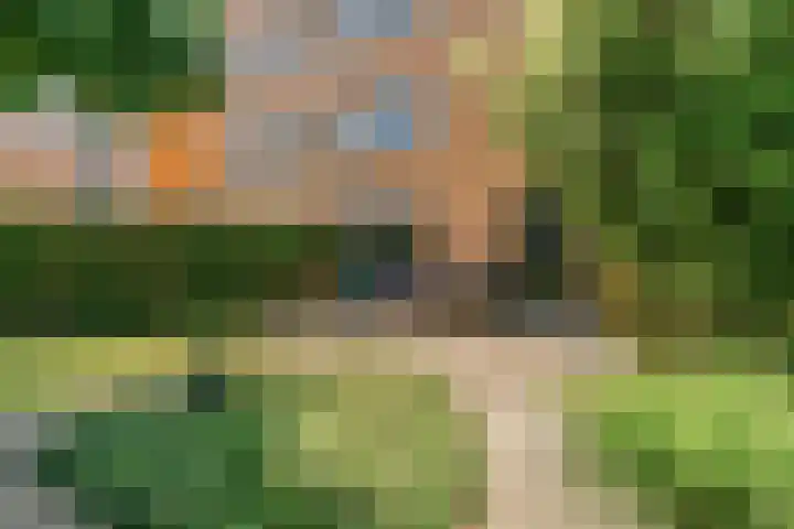 Bazillehof 109 Hoorn thumbnail 30