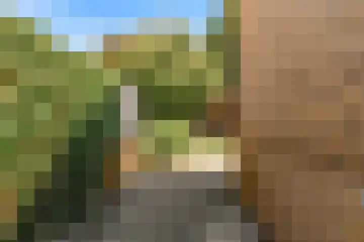 Bazillehof 109 Hoorn thumbnail 31