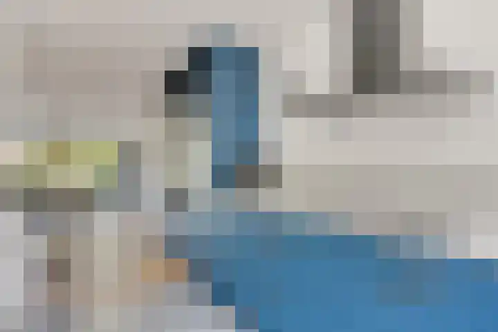 Bazillehof 115 Hoorn thumbnail 20