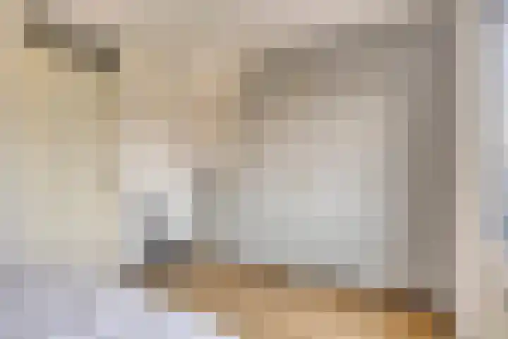 Bazillehof 115 Hoorn thumbnail 25