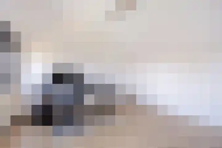 Bazillehof 115 Hoorn thumbnail 32