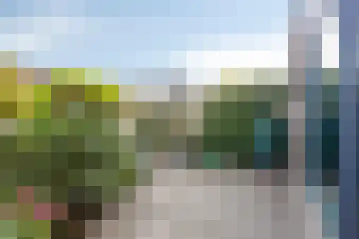 Bazillehof 115 Hoorn thumbnail 34