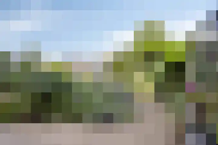 Bazillehof 115 Hoorn thumbnail 35