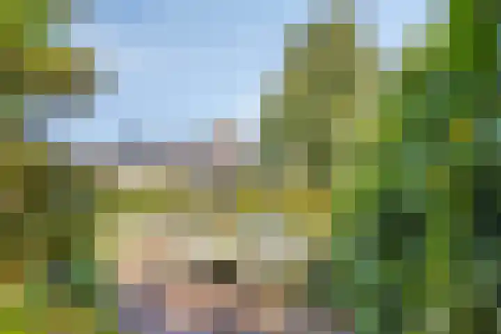 Bazillehof 115 Hoorn thumbnail 36