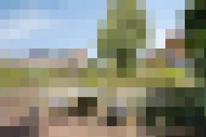 Bazillehof 115 Hoorn thumbnail 37