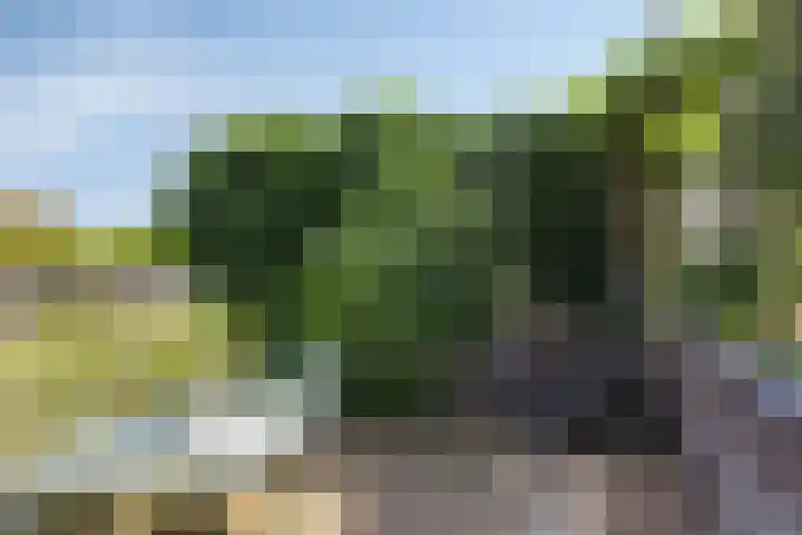 Bazillehof 115 Hoorn thumbnail 38