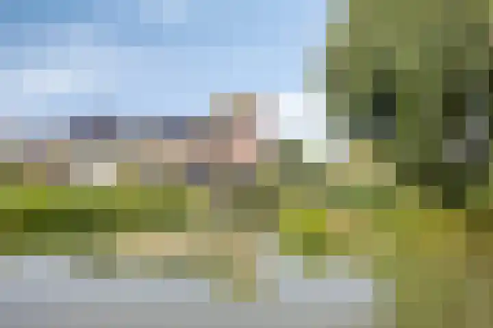Bazillehof 115 Hoorn thumbnail 41