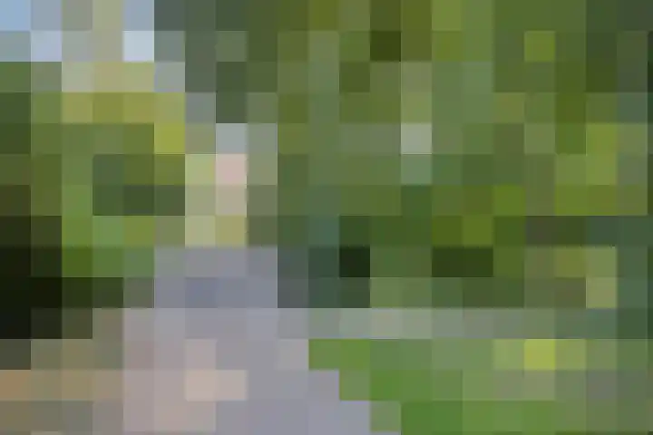 Bazillehof 115 Hoorn thumbnail 42