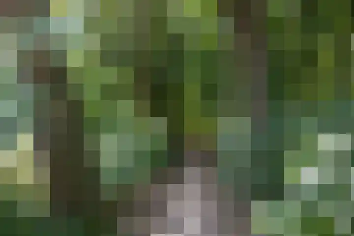 Bazillehof 115 Hoorn thumbnail 43