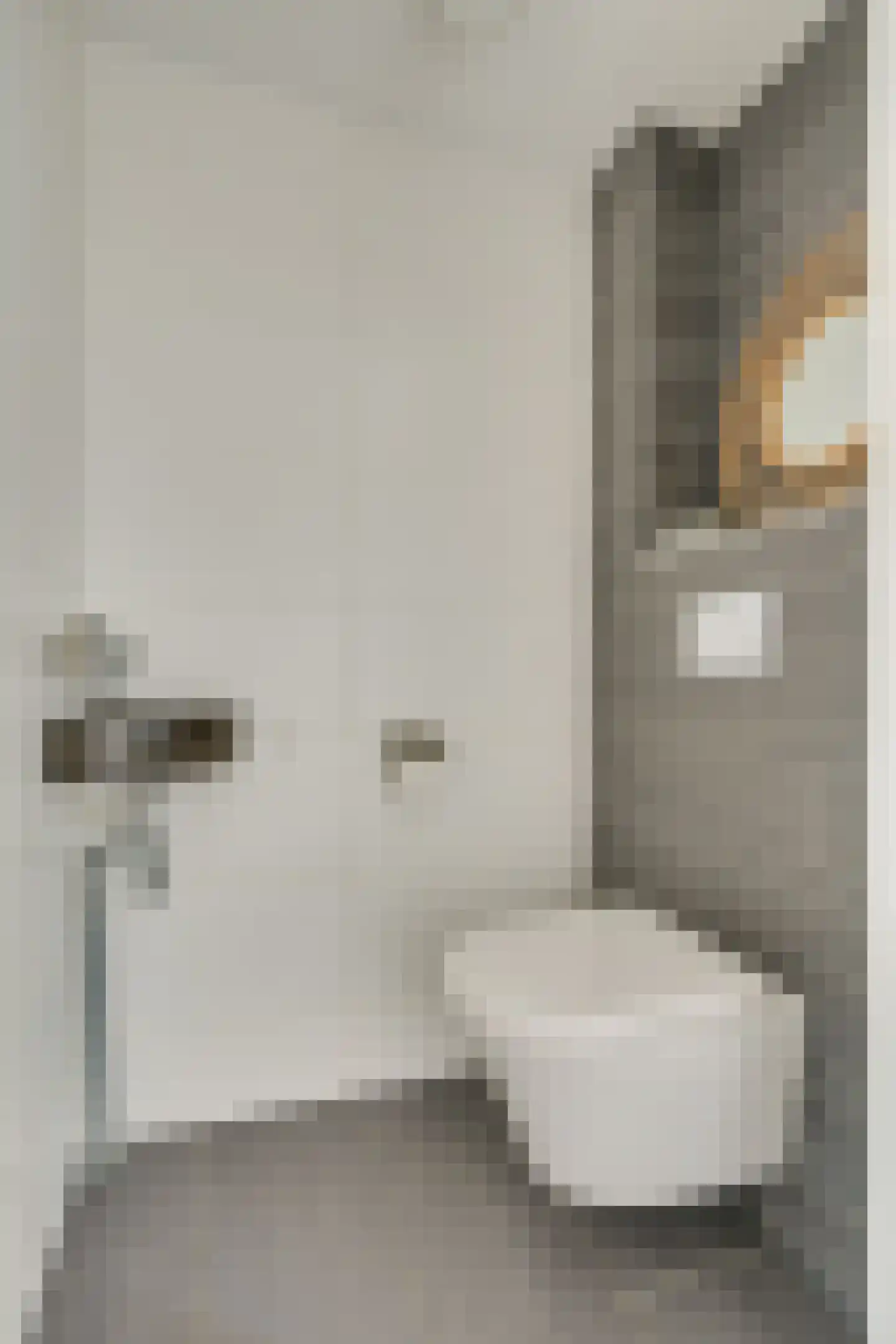 Bazillehof 30 Hoorn thumbnail 23