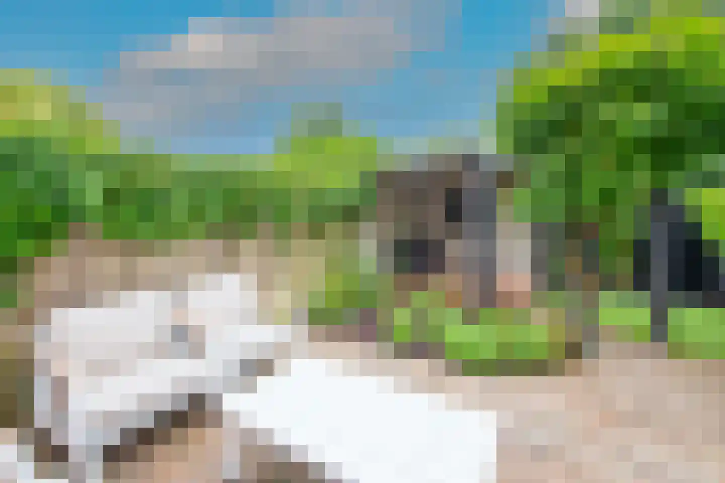 Bazillehof 30 Hoorn thumbnail 43