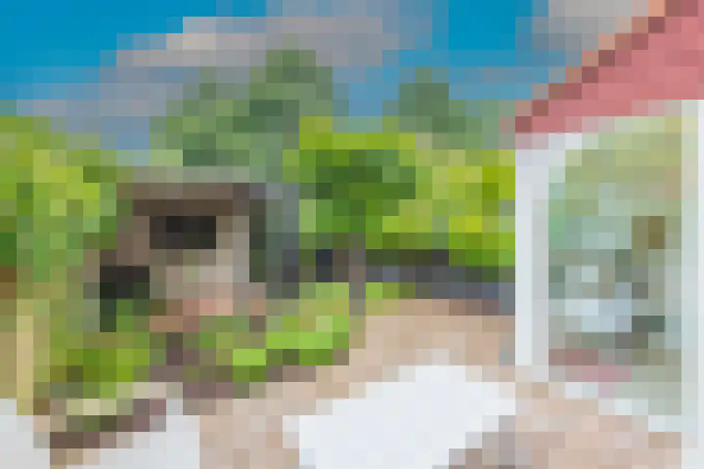 Bazillehof 30 Hoorn thumbnail 44