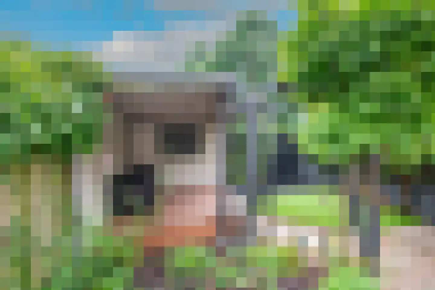 Bazillehof 30 Hoorn thumbnail 45