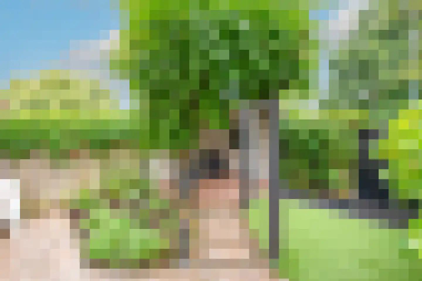 Bazillehof 30 Hoorn thumbnail 46