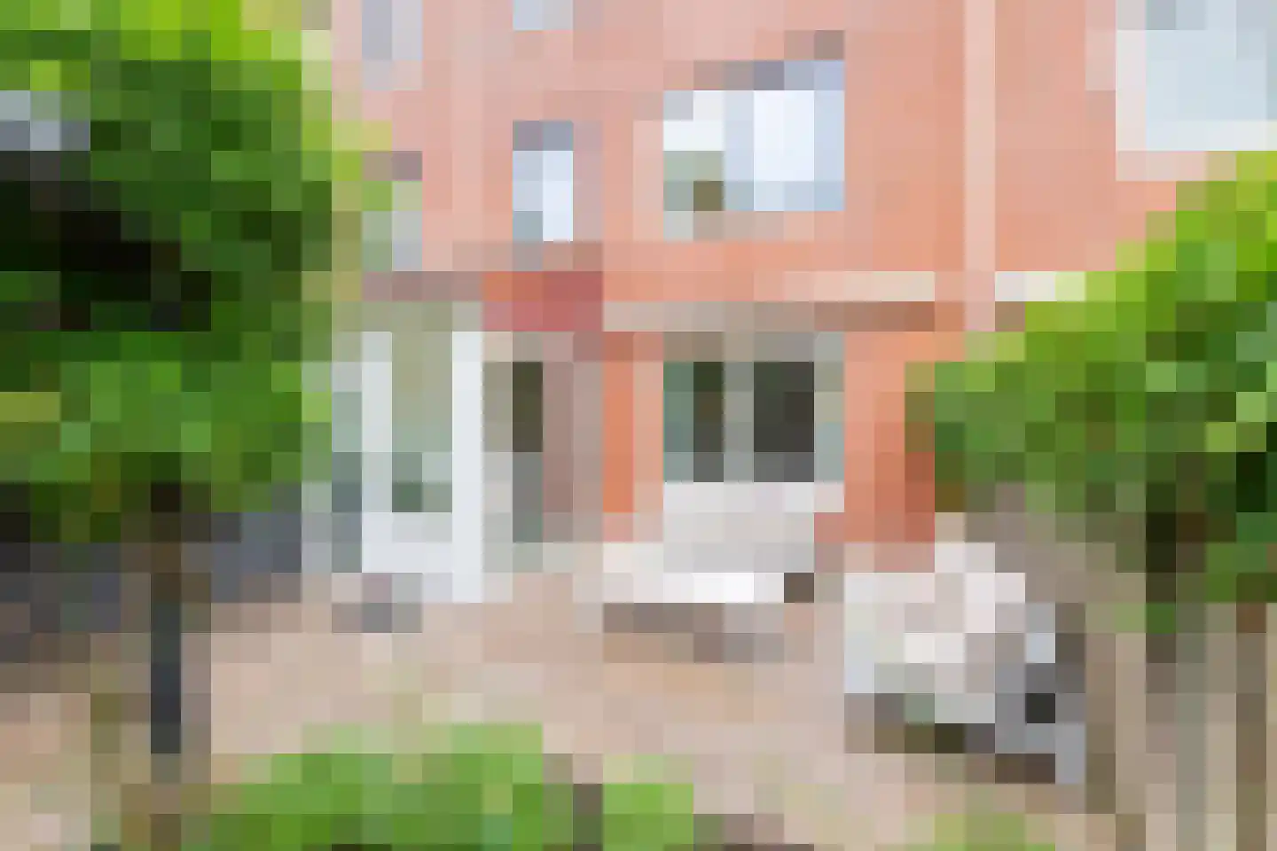 Bazillehof 30 Hoorn thumbnail 47