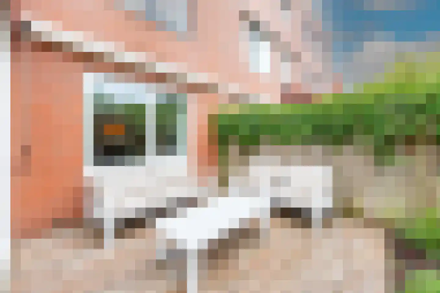 Bazillehof 30 Hoorn thumbnail 50