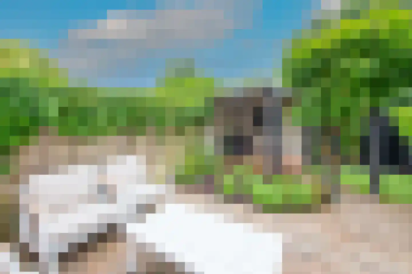 Bazillehof 30 Hoorn thumbnail 6