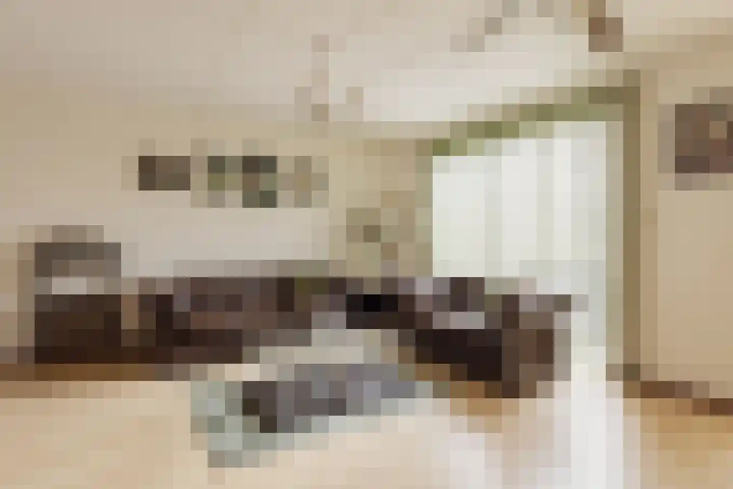 Bazillehof 56 Hoorn thumbnail 12