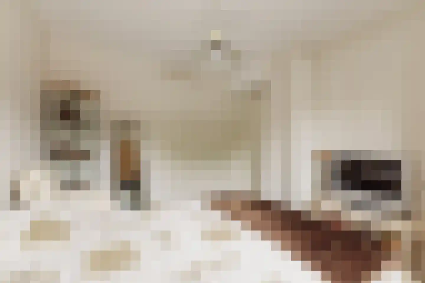 Bazillehof 56 Hoorn thumbnail 27